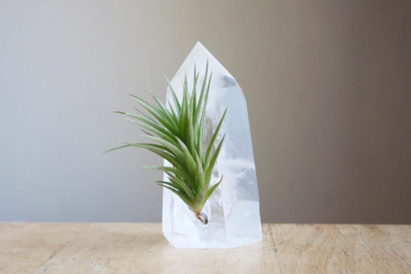 Air plant on a large quartz crystal from Etsy shop Falcon and Finch
