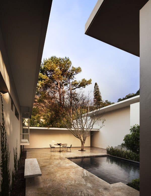 Bridle Road Residence Cape Town Bridle Road Residence Cape Town 2 South African Residence in Cape Town Has a Surprinsing Garden
