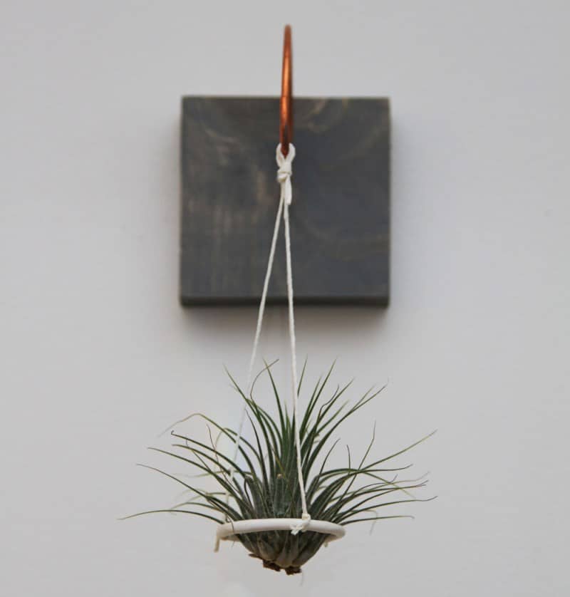 Modern suspended air plant holder from Etsy shop Gems of the Soil