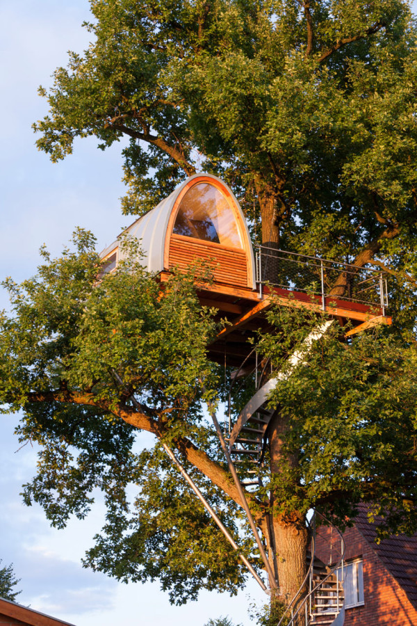 A Modern Treehouse Built Around an Oak Tree Photo A Modern Treehouse Built Around an Oak Tree in main architecture Category
