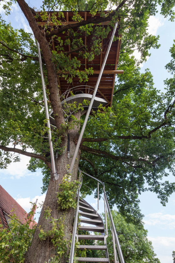A Modern Treehouse Built Around an Oak Tree Photo A Modern Treehouse Built Around an Oak Tree in main architecture Category