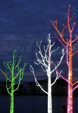 Light Tree - DreamHomeStyle