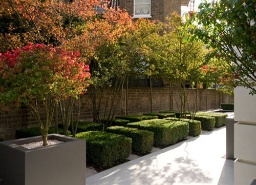 Philip Nixon on the Art of Precision Garden Design Photo Philip Nixon on the Art of Precision Garden Design in main interior design Category