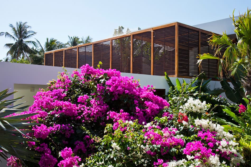 ideas modern villa 10 Holiday Inspiring Palm Tree Hideout in Vietnam: Oceanique Villas